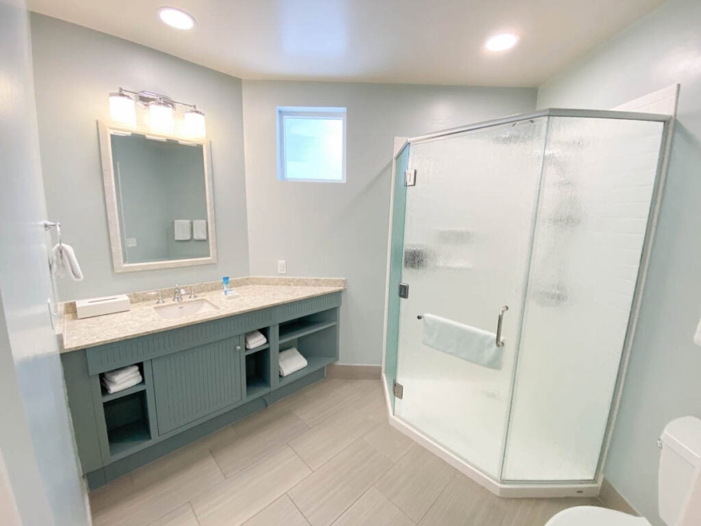 master bathroom shower room and vanity.