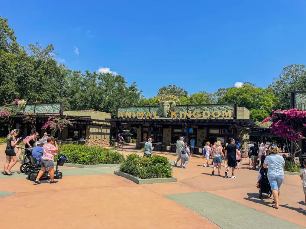entrance to Animal Kingdom Park.