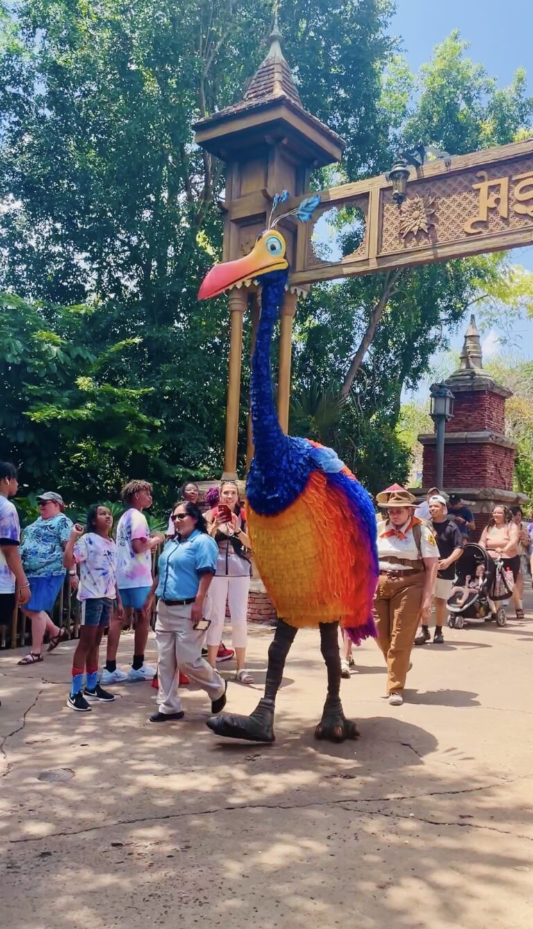 Meet Kevin at Animal Kingdom