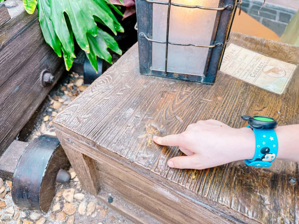 secret symbol you have to find on the Pirate's Adventure.